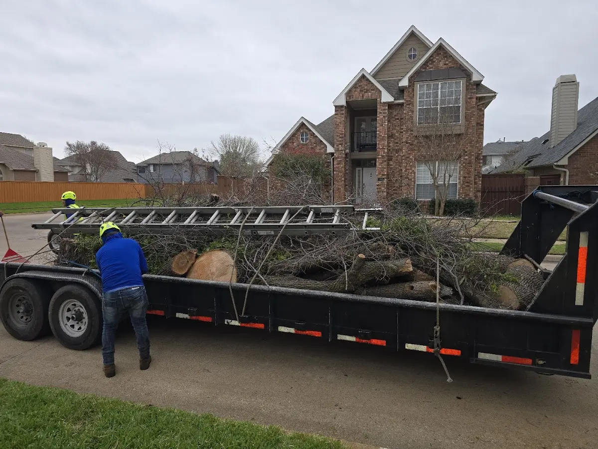 Expert Lot Clearing with proper safety equipment in Beaumont